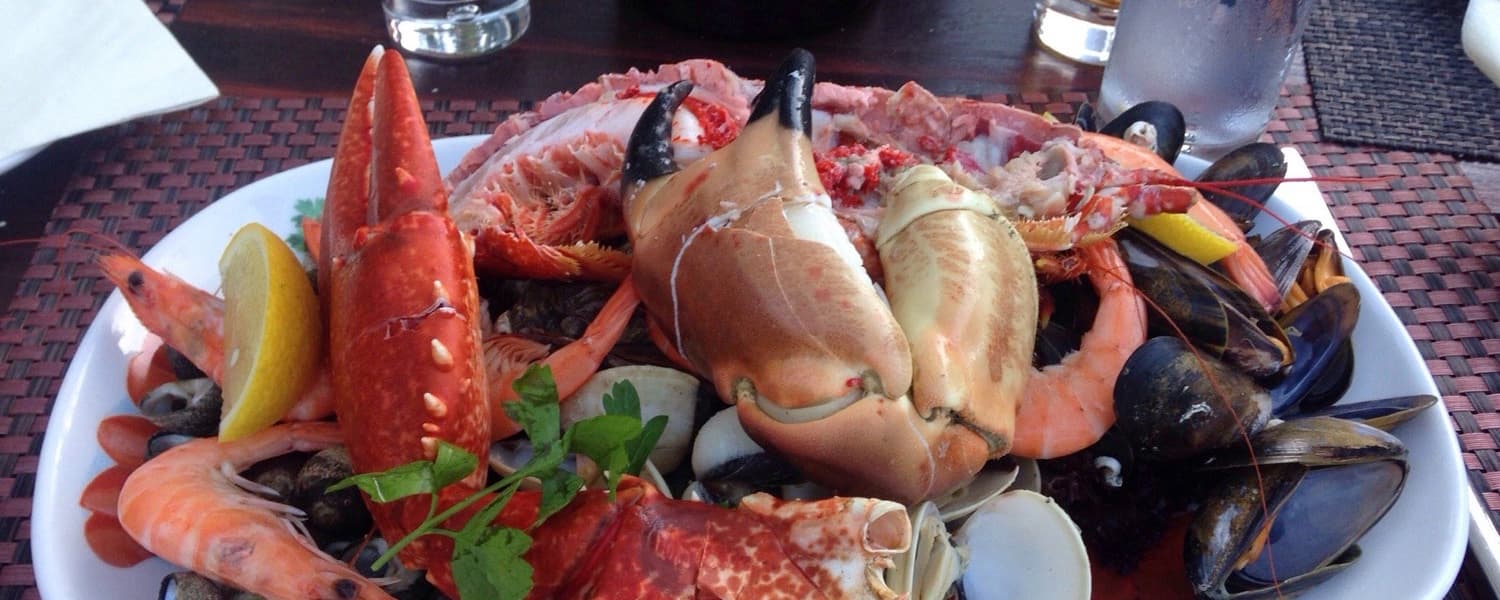 Muddy Duck dining experience